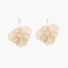 Fashion Balaboosté Créoles fleur en filigrane dorées